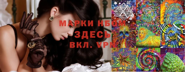 винт Алзамай